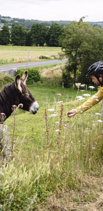 rencontre-sur-la-voie-verte-veloscenie_un-monde-a-velo.jpg