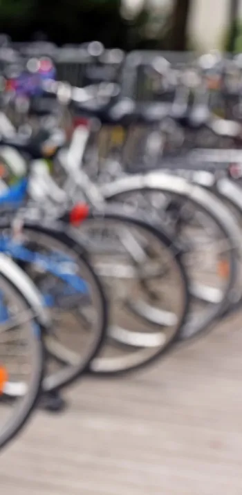 Bike hire or rental