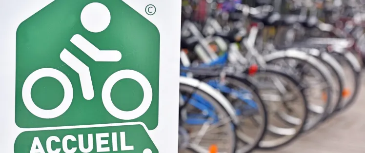Bike hire or rental